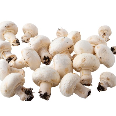 Шампиньоны свежие 500 г - купить в Борокском Кордоне